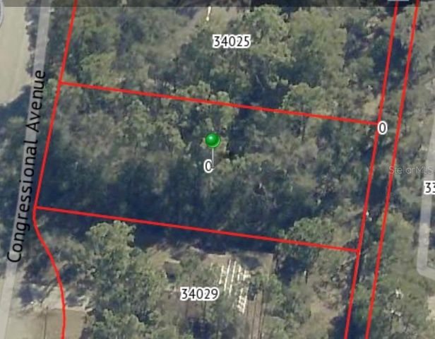 34027 CONGRESSIONAL AVENUE, Dade City, FL 33523