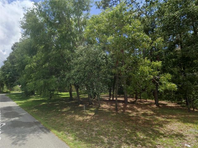 34027 CONGRESSIONAL AVENUE, Dade City, FL 33523