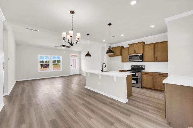 TBB Hallie Martin Dr., Conway, SC 29527