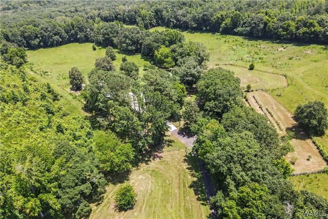 2426 County Road 52, Moundville, AL 35474