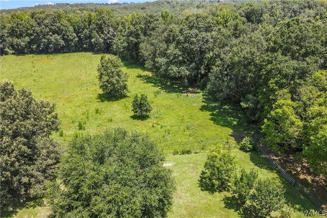 2426 County Road 52, Moundville, AL 35474