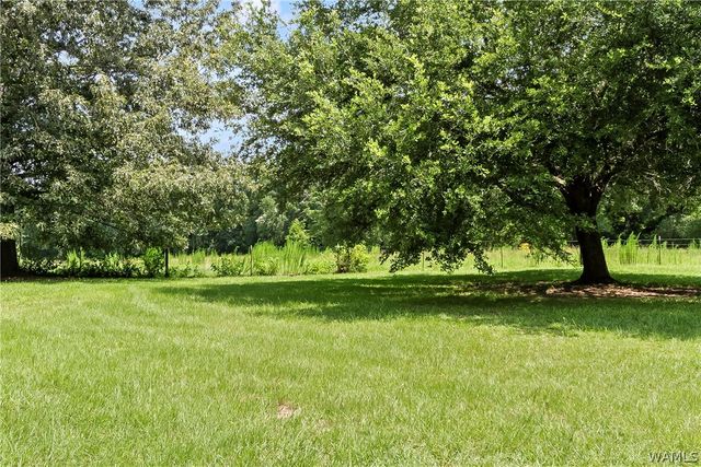 2426 County Road 52, Moundville, AL 35474
