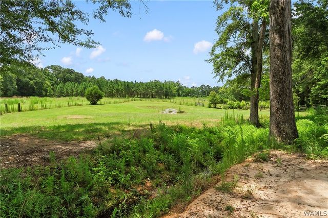 2426 County Road 52, Moundville, AL 35474
