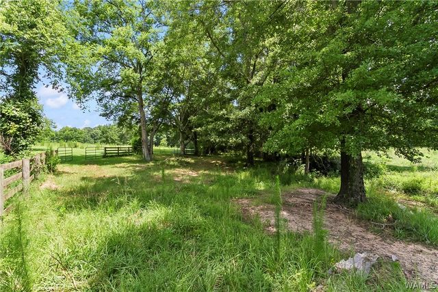 2426 County Road 52, Moundville, AL 35474