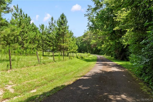 2426 County Road 52, Moundville, AL 35474