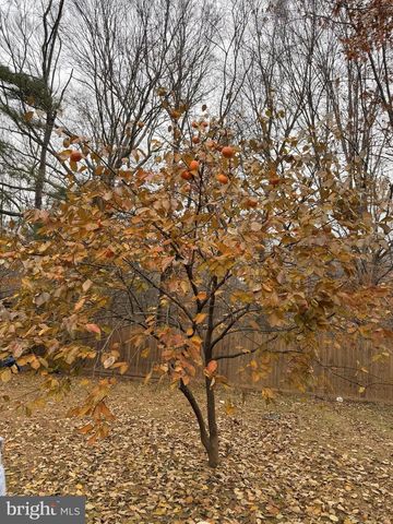 13321 NASSAU DR, Woodbridge, VA 22193