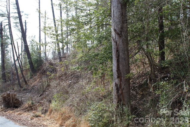 00 Monte Vista Circle, Spruce Pine, NC 28777