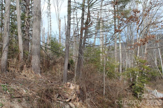 00 Monte Vista Circle, Spruce Pine, NC 28777