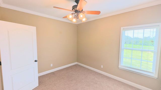 324 Jones Rd, Newton, AL 36352