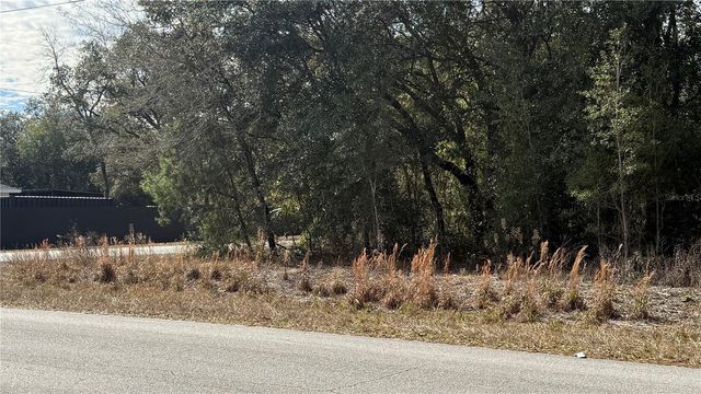 SW BEACH BLVD & SW PORTULACA CT, Dunnellon, FL 34431