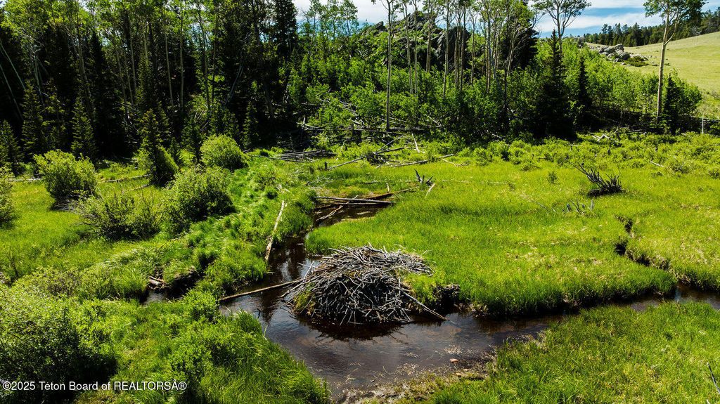 HAZELTON PEAK RANCH, Buffalo, WY 82834 photo 2