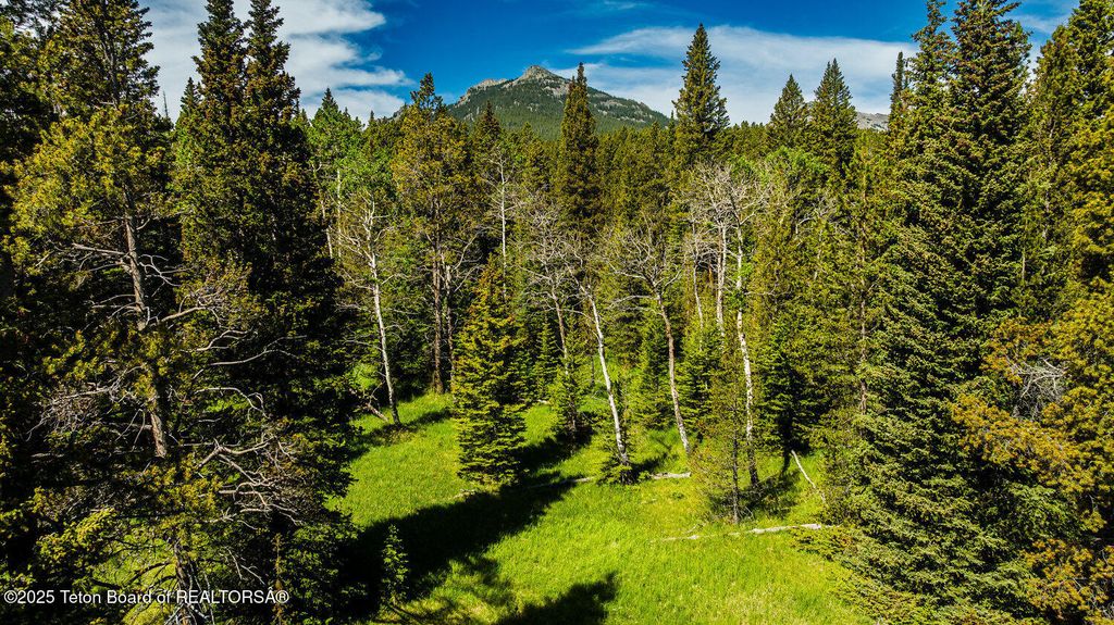HAZELTON PEAK RANCH, Buffalo, WY 82834 photo 21