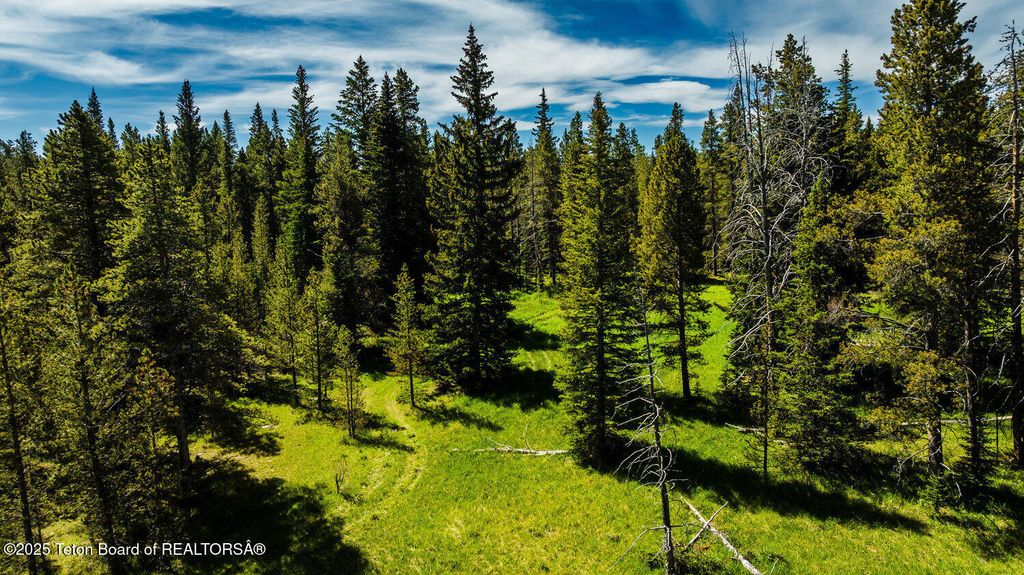 HAZELTON PEAK RANCH, Buffalo, WY 82834 photo 22