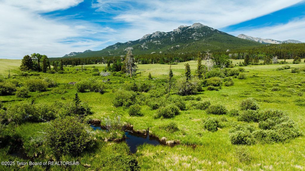 HAZELTON PEAK RANCH, Buffalo, WY 82834 photo 36