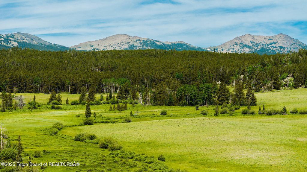 HAZELTON PEAK RANCH, Buffalo, WY 82834 photo 41