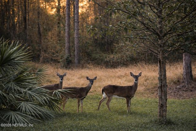 122 LINDSAY Drive, Palm Coast, FL 32137