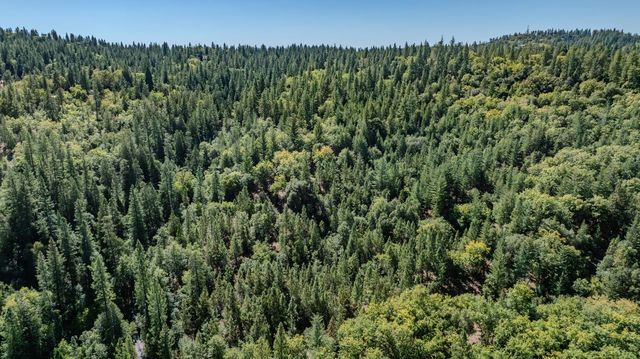 21000 French Gulch Rd, Pine Grove, CA 95665