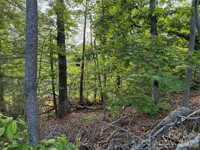 53 Will Road 2, Hendersonville, NC 28792