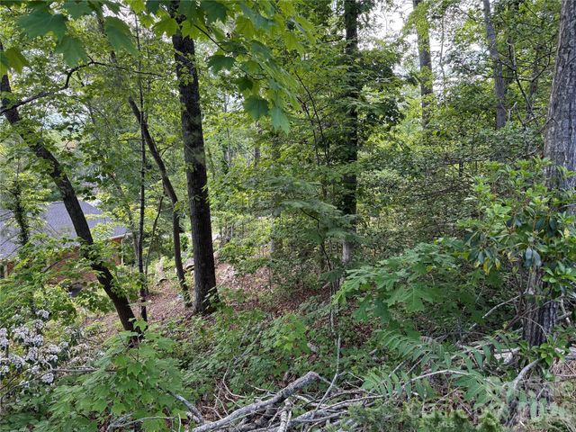 53 Will Road 2, Hendersonville, NC 28792