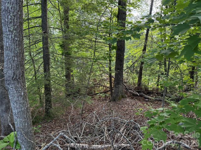 53 Will Road 2, Hendersonville, NC 28792