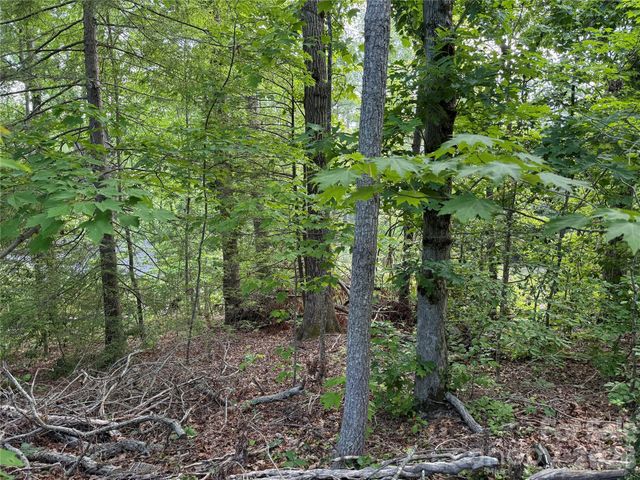 53 Will Road 2, Hendersonville, NC 28792