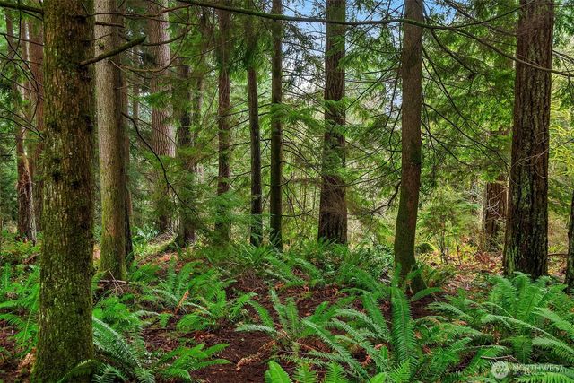 32218 NE 193rd Street, Duvall, WA 98019