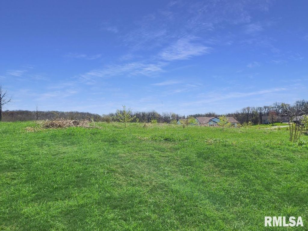 0 - LOT 7 TOWN Avenue, Princeville, IL 61559