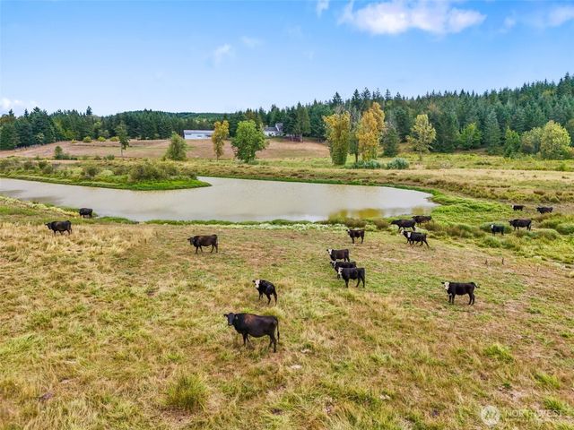 437 Ingalls Road, Rochester, WA 98579
