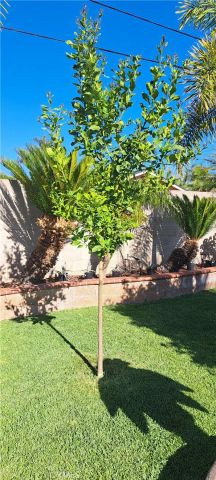 1605 S Birch Street, Santa Ana, CA 92707