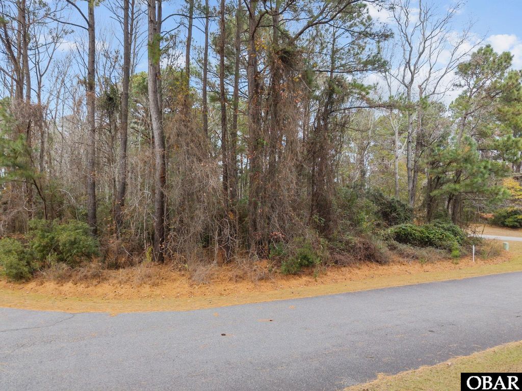 Image 16 of property listing at 100 Sullivans Court lot 49, Powells Point, NC 27966