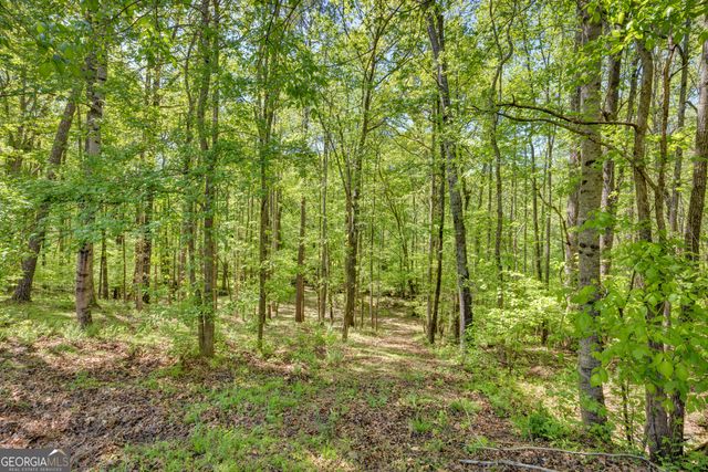 115 Crestview Lane, Newborn, GA 30056