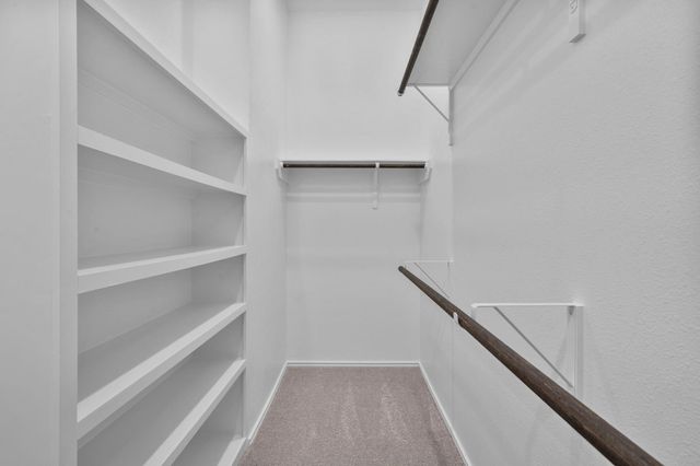 2411 Honeyberry Shrub Drive, Manvel, TX 77578