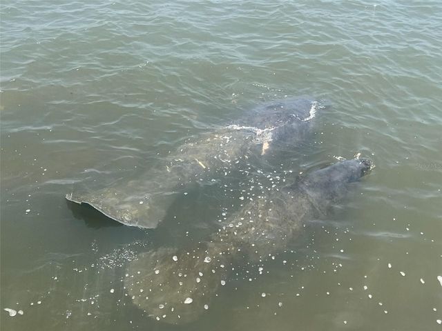 101 N RIVERSIDE DRIVE 7070, New Smyrna Beach, FL 32168