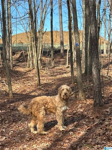 2004 WOHALI DRIVE, Leeds, AL 35094