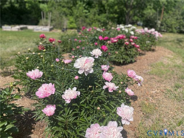 3401 Deep Bottom Rd, Prince George, VA 23860