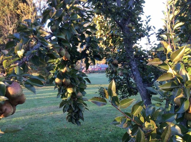 2167 Myers Road, Shaftsbury, VT 05262