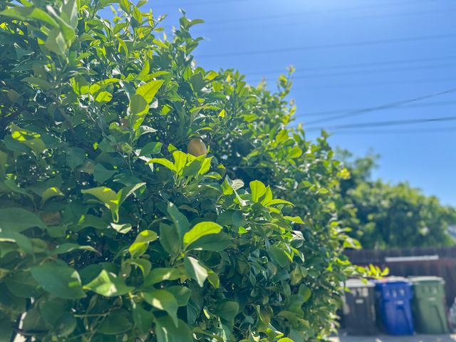 470 N Bates Avenue, Dinuba, CA 93618