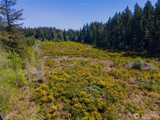 8600 Steamboat Island Road NW, Olympia, WA 98502