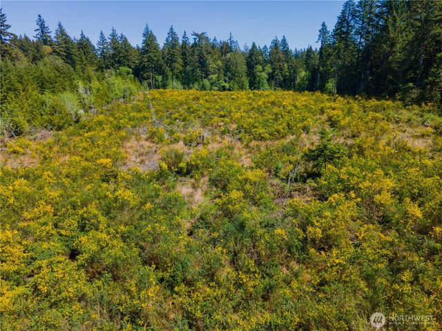 8600 Steamboat Island Road NW, Olympia, WA 98502