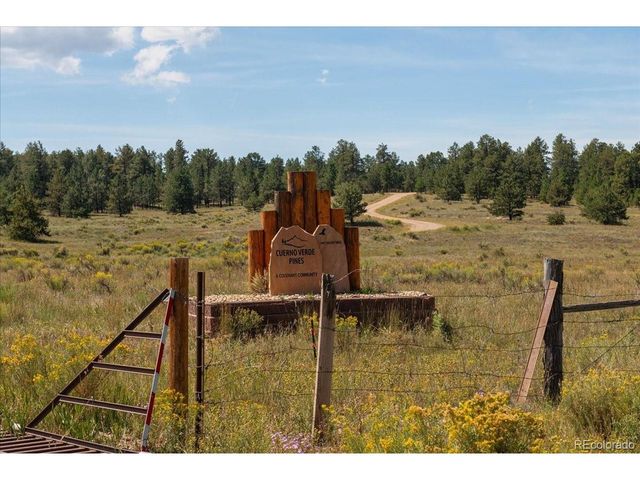 832 Wykagyl Rd, Westcliffe, CO 81252