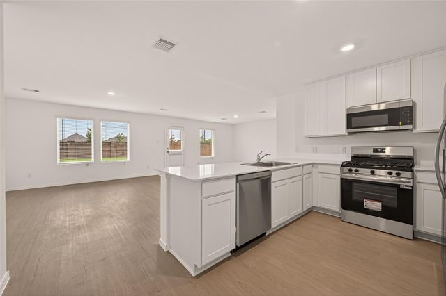 2410 Cherry Ruby Drive, Rosharon, TX 77583