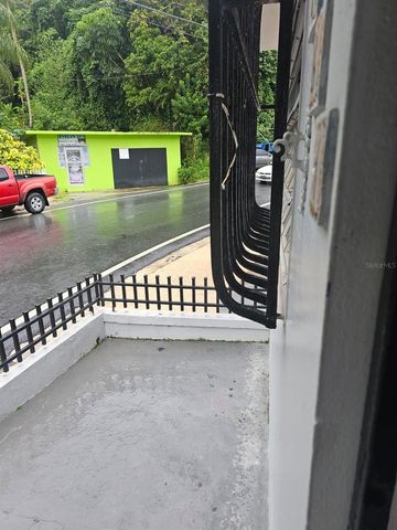 165 CALLE BARCELO, Barranquitas, PR 00794