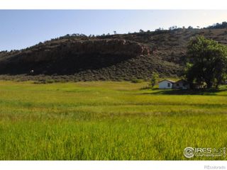 1364 Red Bluff Road, Livermore, CO 80536