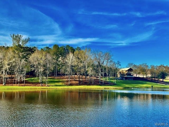 17138 Wesley Chapel, Ralph, AL 35480