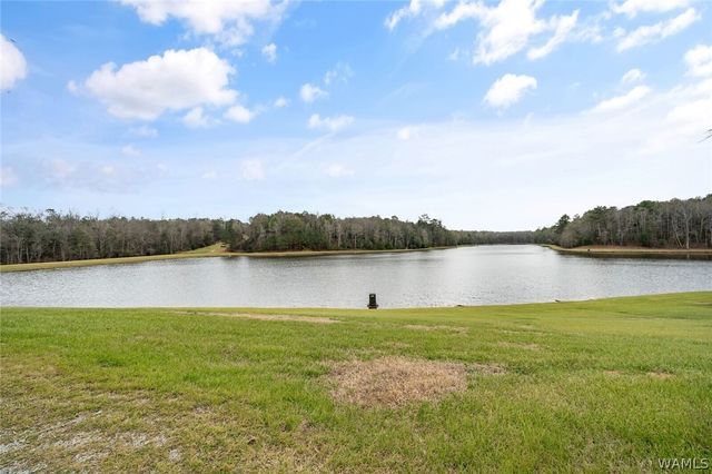 17138 Wesley Chapel, Ralph, AL 35480