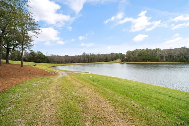 17138 Wesley Chapel, Ralph, AL 35480