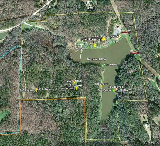 17138 Wesley Chapel, Ralph, AL 35480