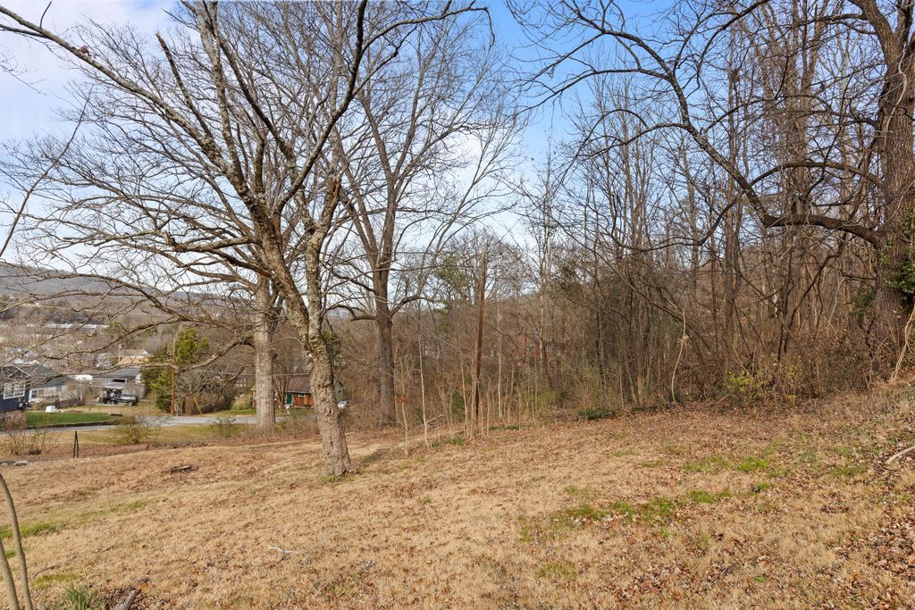 0 Orlando Dr. 6, 7, Red Bank, TN 37415