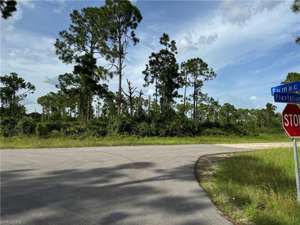 1123 Plantation RD, LEHIGH ACRES, FL 33974 — exterior
