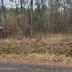 0 Nottingham Rd, Brandon, MS 39042